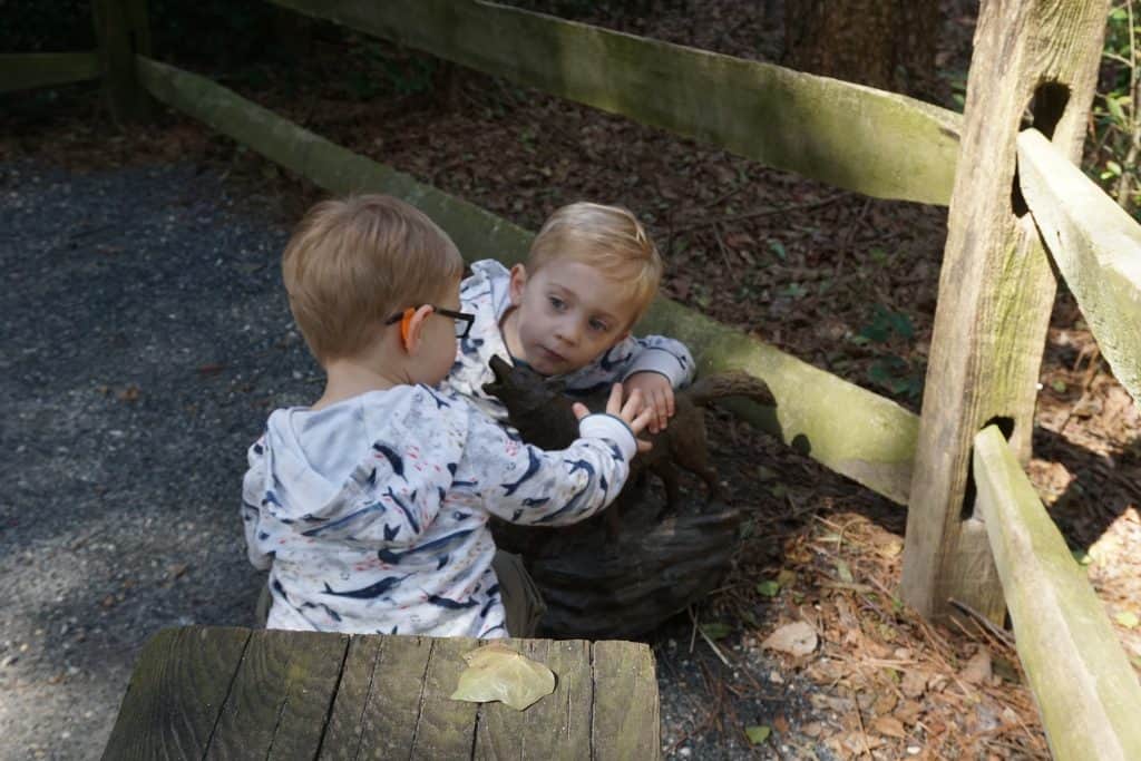 Twin brothers at local zoo for our summer bucket list